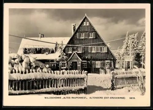 AK Altenberg /Ost-Erzgebirge, Gasthaus Waldschänke Altes Raupennest im Winter