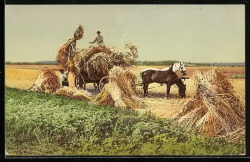 AK Pferdekarren voller Getreide auf dem Feld