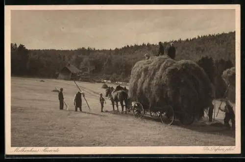 AK Heuernte auf dem Feld, Pferdekarren mit Heu