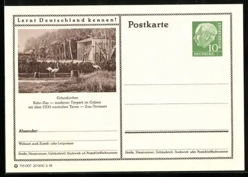 AK Gelsenkirchen, Ruhr-Zoo, Ganzsache Lernt Deutschland kennen