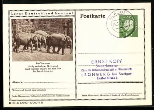 AK Hannover, Elefanten im Zoo, Ganzsache Lernt Deutschland kennen