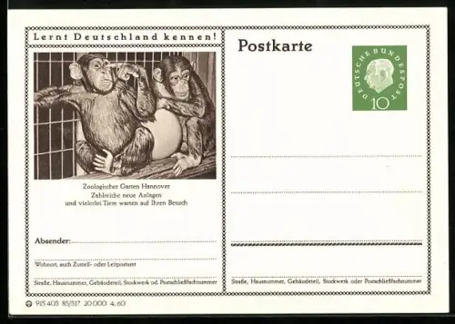 AK Hannover, Schimpansen im Zoologischen Garten, Ganzsache Lernt Deutschland kennen