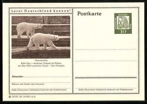 AK Gelsenkirchen, Eisbären im Zoo, Ganzsache Lernt Deutschland kennen