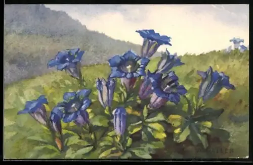 Künstler-AK Anna Haller: Blaue Blumen in voller Blüte