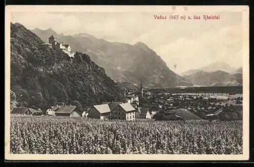AK Vaduz, Panoramablick auf den Ort
