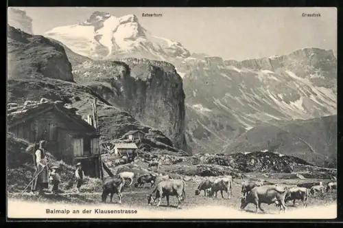 AK Klausenstrasse, Balmalp, Sennerin mit weidenden Rindern gegen Scheerhorn und Griesstock