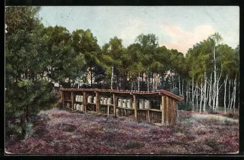 AK Lüneburg /Lüneburger Heide, Bienenstand, Imkerei
