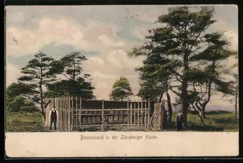 AK Lüneburger Heide, Imker neben einem Bienenstand