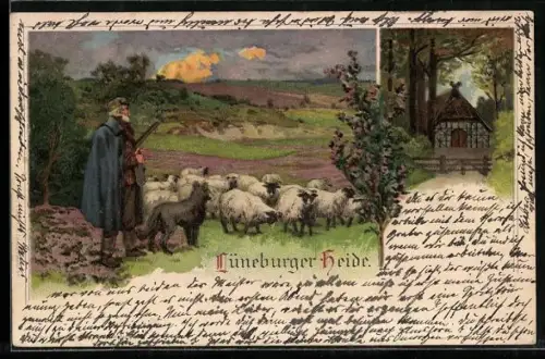 AK Heidschnucken in der Lüneburger Heide, Fachwerkhaus