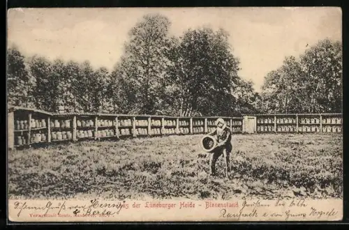 AK Lüneburger Heide, Bienenstand mit Imker