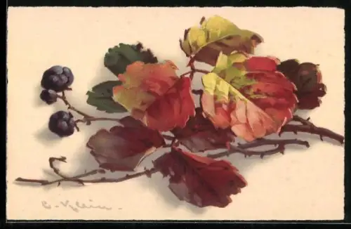 Künstler-AK Catharina Klein: Laubblättern mit blauen Früchten