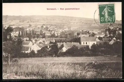 AK Verneuil, Vue panoramique