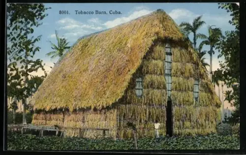 AK Cuba, Tobacco Barn