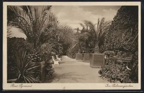AK Bad Pyrmont, Im Palmengarten