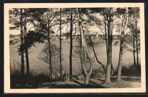 AK Motzen, Blick auf den See