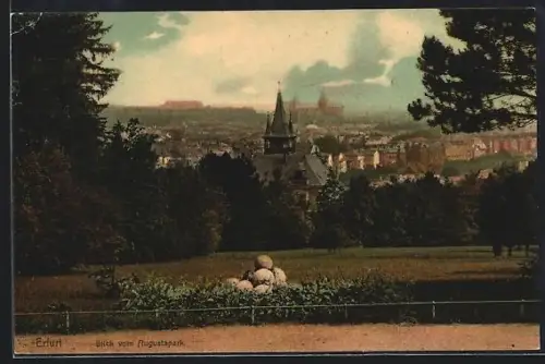 AK Erfurt, Blick vom Augustapark