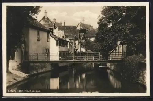AK Erfurt, Am Fischersand