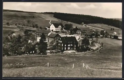 AK Steinheid /Thür. Wald, Ortsansicht mit Feldern