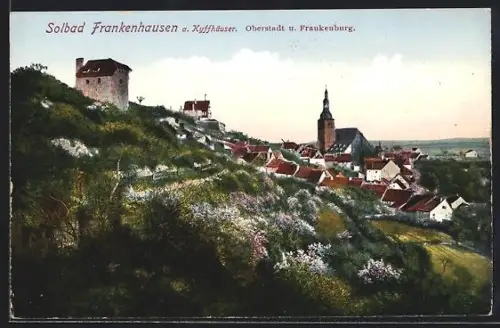 AK Frankenhausen a. Kyffhäuser, Oberstadt und Frankenburg