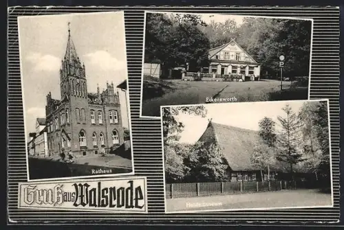 AK Walsrode, Rathaus, Gasthaus Eckernworth, Heidemuseum