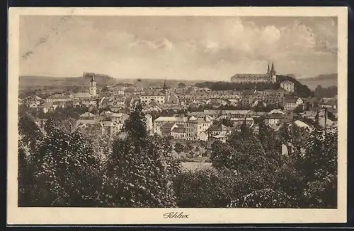 AK Schleiz, Ortsansicht aus der Vogelschau