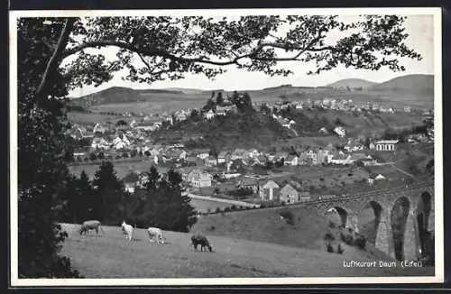 AK Daun /Eifel, Gesamtansicht, Viadukt, Burgruine