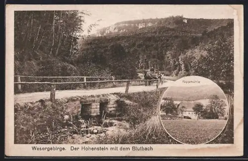 AK Pappmühle /Wesergebirge, Hohenstein mit Blutbach, Gasthaus Pappmühle
