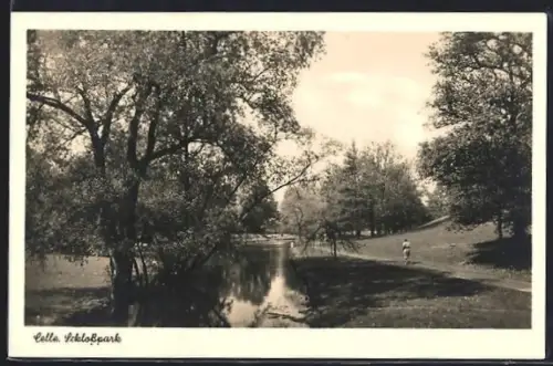 AK Celle, Schlosspark, Teich, Spazierweg