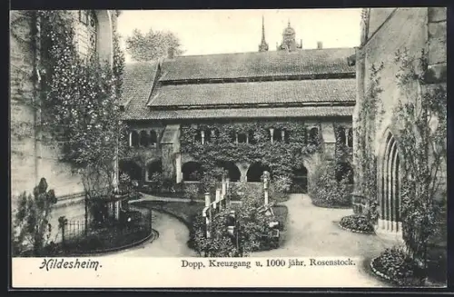 AK Hildesheim, Dopp. Kreuzgang, 1000 jähr. Rosenstock