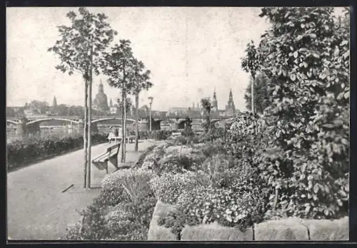 AK Dresden-Neustadt, Königsufer, Blick auf Altstadt und Elbbrücke