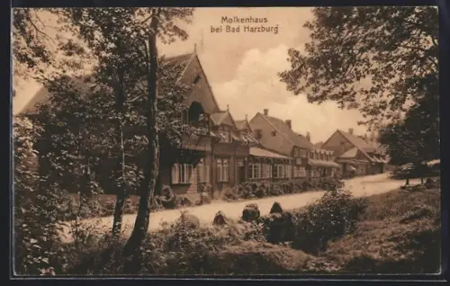 AK Bad Harzburg, Hotel Molkenhaus