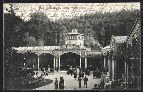 AK Bad Wildungen, Georg Viktor-Quelle