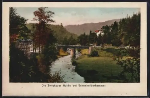 AK Schönheiderhammer, Zwickauer Mulde, Brücke, Flusslandschaft