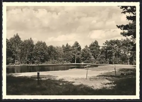 AK Hanstedt /Bz. Hamburg, Pension Waldhaus Dierke, Waldbad