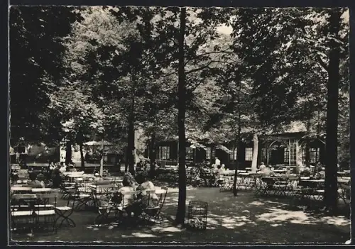 AK Halle /Saale, Dölauer Heide, HOG Knolls Hütte