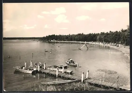 AK Briesensee /Kr. Lübben, Uferpartie mit Bootssteg