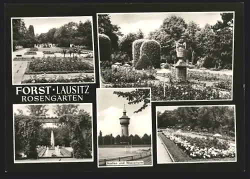 AK Forst Lausitz, Rosengarten, Stadion und Wasserturm, Beet, Wasserspiele