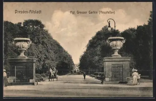 AK Dresden, Kgl. Grosser Garten, Hauptallee mit Pferdekutsche