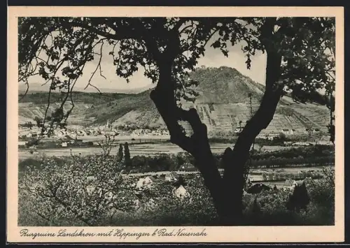 AK Bad Neuenahr, Burgruine Landskron, Heppingen