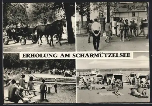 AK Bad Saarow-Pieskow, Strandbad Neptun, Pferdekutsche, Strand, Badegäste