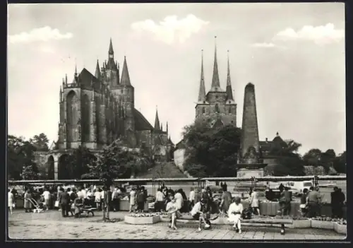 AK Erfurt, Dom und Severikirche, Markttreiben