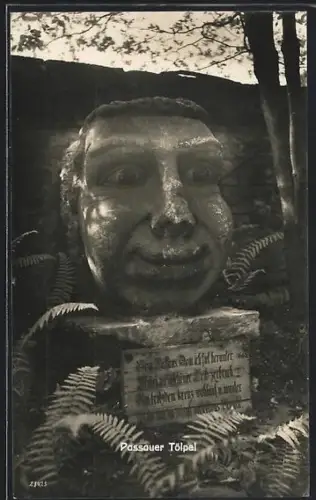 AK Passau, Passauer Tölpel