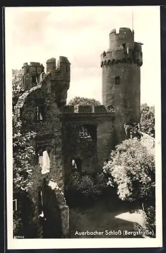 AK Auerbach /Bergstrasse, Auerbacher Schloss