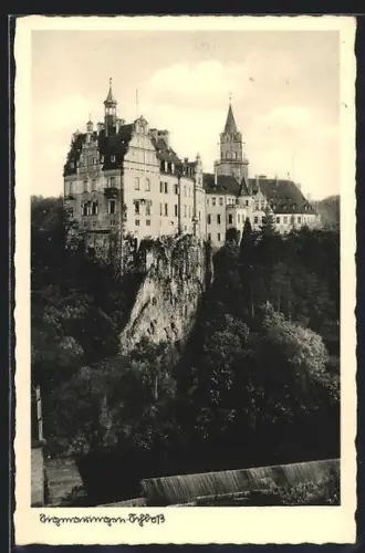 AK Sigmaringen, Schloss mit näherer Umgebung