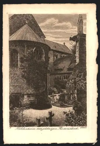 Künstler-AK Hildesheim, 1000-jähriger Rosenstock