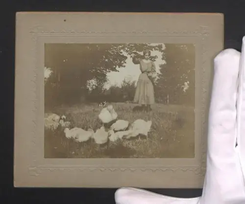 Fotografie junges Mädchen füttert die Gänse, Gänsemagd, Katze schaut zu