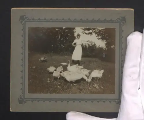 Fotografie junge Gänsemagd, Fütterung der Gänse