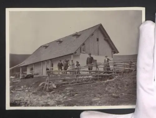 2 Fotografien Ansicht Aspangberg-St. Peter, Alm Marienseer Schwaig am Wechsel, Kühe