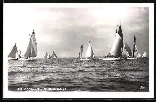 AK Segelregatta auf dem Bodensee, Segelsport