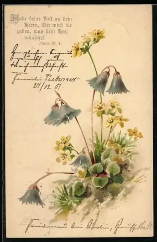 AK Sinnspruch Habe deine Lust an dem Herrn, Der wird dir geben, was dein Herz wünschet, mit verschiedenen Blumen